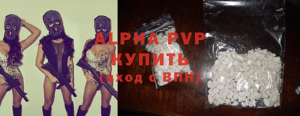 винт Лагань