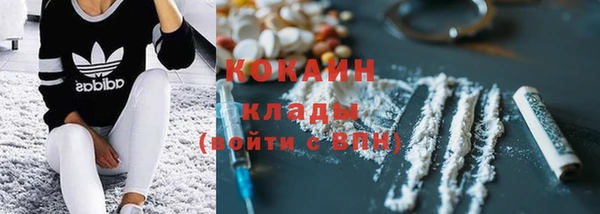 не бодяженный Ладушкин