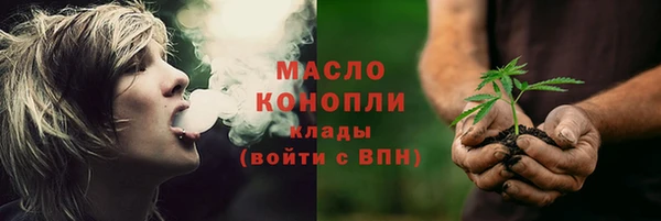 винт Лагань
