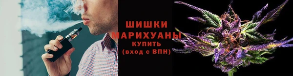 не бодяженный Ладушкин