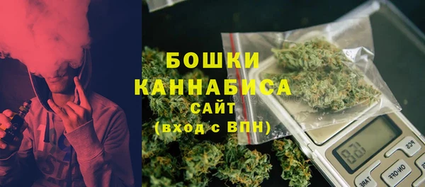 винт Лагань